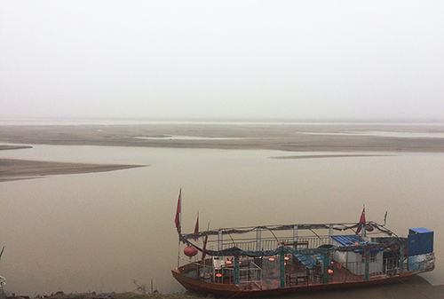 36013367600006109 500.jpg